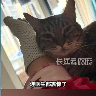 大核有料：“万万没想到！”近日，江苏无锡