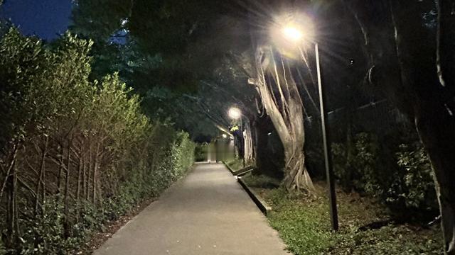 平地一声巨响：丙午流年：  丙午年的天干