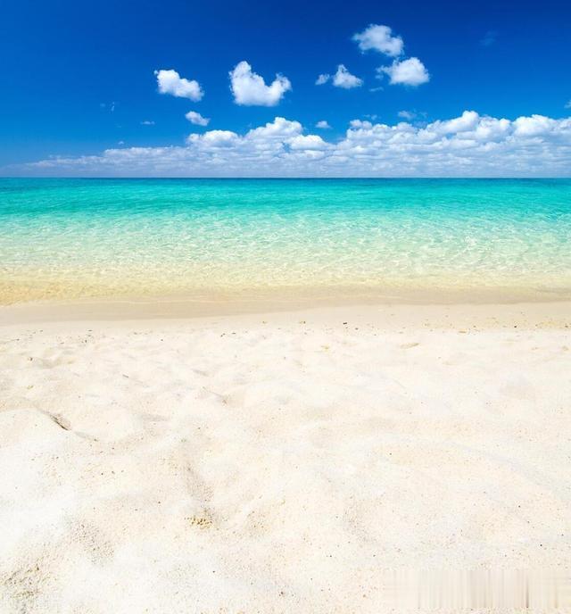 MACD顶背离宣告破解：深度解析与实战应用