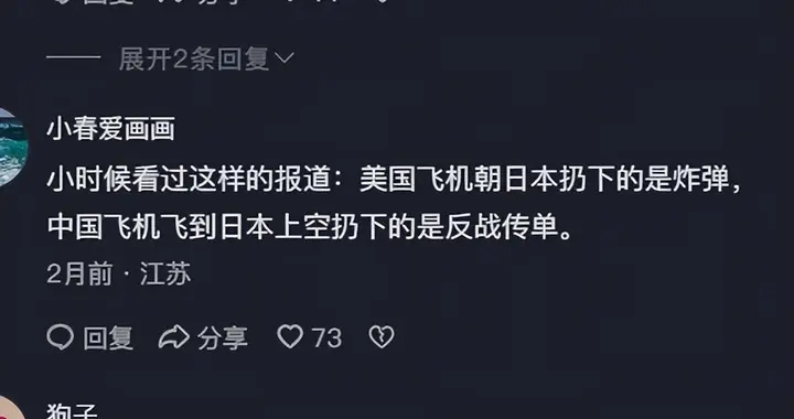 中国在抗战时，有没有派空军轰炸过日本？
