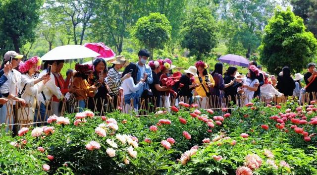 “五一”菏泽小众游爆火，跻身全国前十！