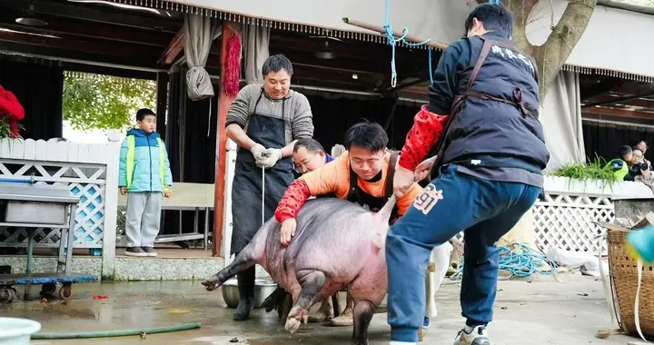 从30桌爆到100桌！多地紧急踩刹车，安全升级的刨猪宴更香了！