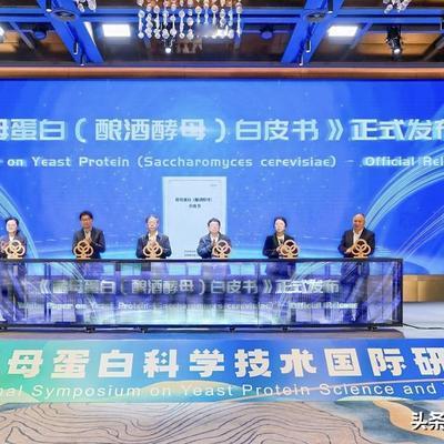 博度时光：安琪酵母蛋白质研讨会是行业盛会