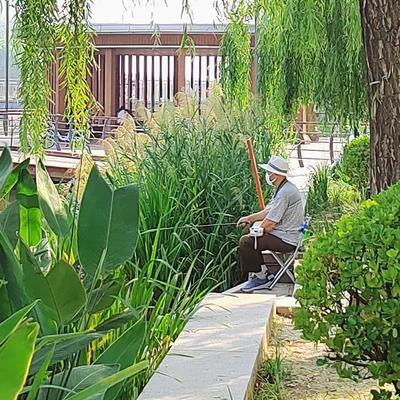 庭院飞雪：这首《七绝•半日清闲》极具画面