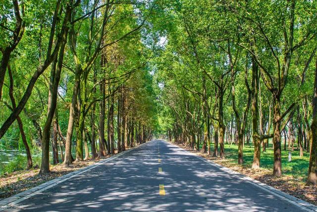 学了《道德经》结果学会了“和稀泥”，我认为还不如不学！