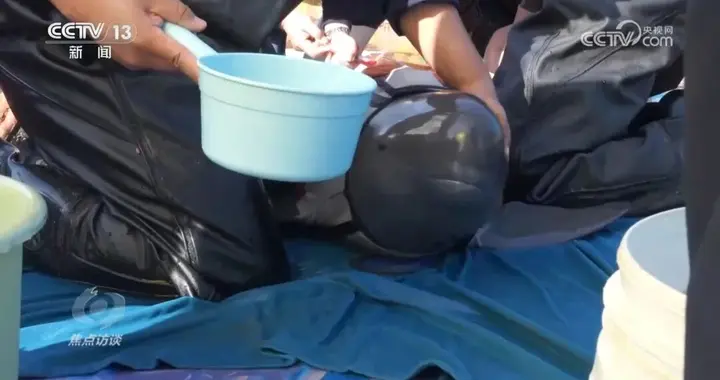 推进长江生态保护工作 留住江豚的“微笑” | 焦点访谈