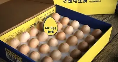 日本鸡蛋312日元一盒，23年新高！换成人民币，中国网友沉默了！