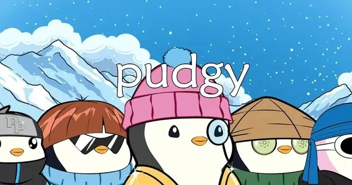 每日单词：pudgy