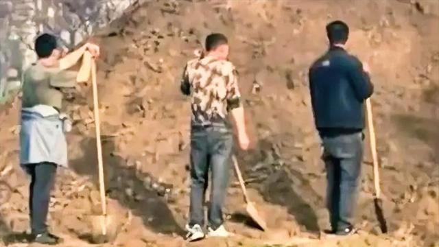 观沧海：人咋能这么离谱！河南信阳，一男子