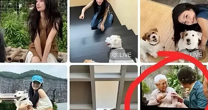 卢昱晓道歉还打错片名，素人女主凭啥爆红？内娱该醒醒了