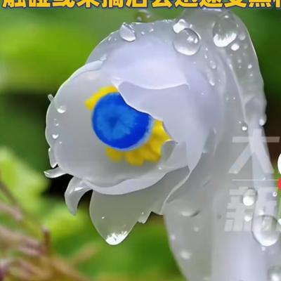 海之般若：“冥