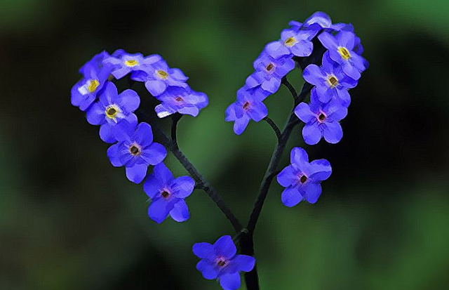 男女间出现这些“信号”，往往意味着“缘”尽了，抓紧时间挽回