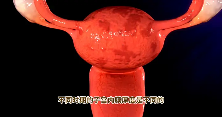揭秘子宫内膜薄对怀孕的影响！