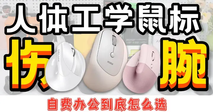多彩垂直鼠标好用吗？实测对比西圣、多彩、罗技3款热门鼠标横评