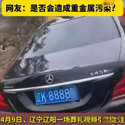 八一文库：辽阳富豪老爸欲以奔驰陪葬，百万