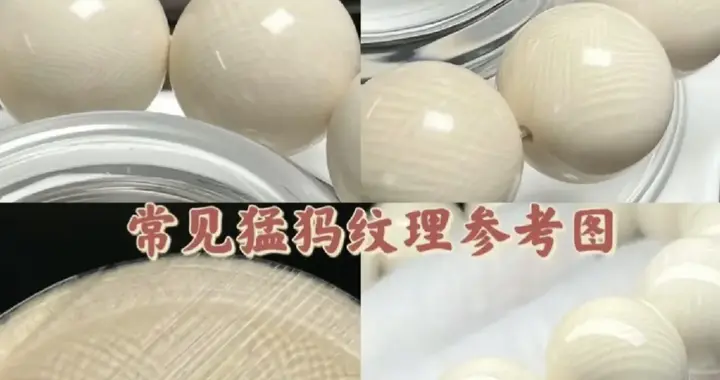 今年猛犸象牙树脂造假成灾？咋分辨真假呢