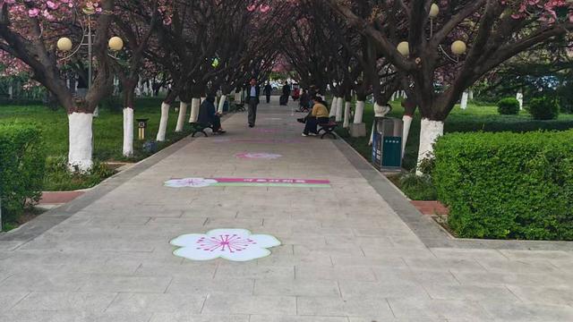 闲游散人阿劭：。