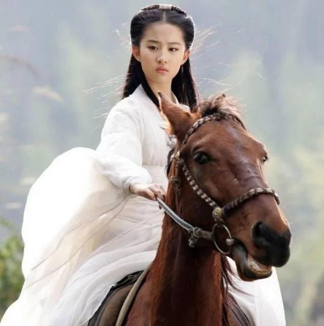俚语not look a gift horse in the mouth用法解析