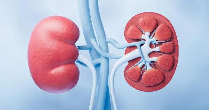 这种“沉默的肾病”不痛不肿，一旦发现多是晚期！3个信号别忽略
