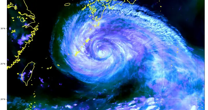 台风黄色预警拉响！白海豚或登陆浙闽，浙江局地或有特大暴雨