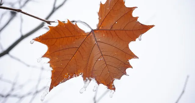 数九为何从冬至开始