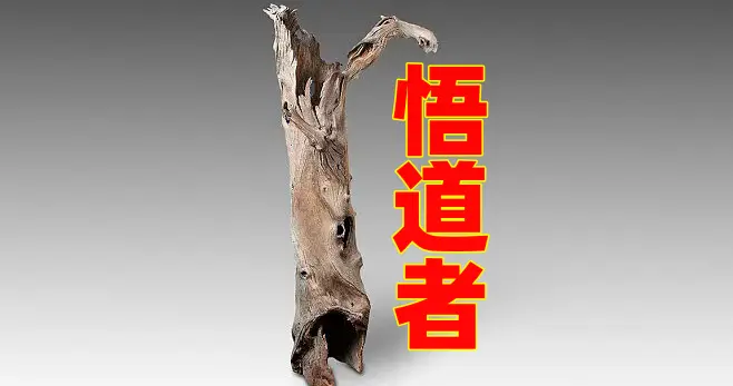 所谓“悟道”，所谓“得道”，就是“反者道之动，弱者道之用”