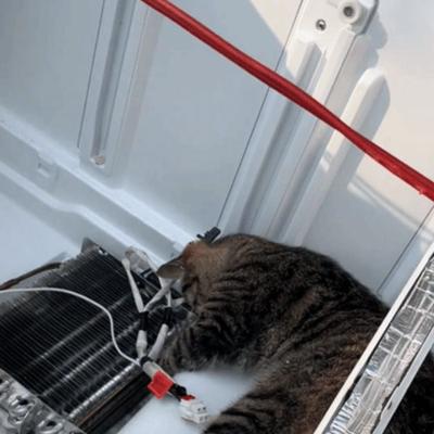 说不完的心情：“笑哭了！”河南，一男子在