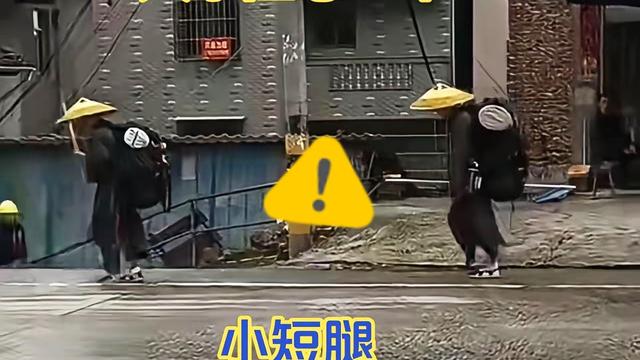 认真喵：千万别被温柔表象蒙蔽双眼， 隐蔽