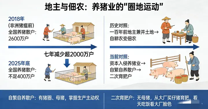 现代“养猪圈地”：资本正在用“去化”镰刀收割中国猪农