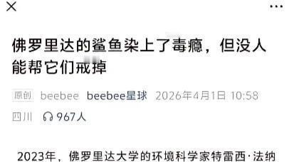 冰雪惠吉：鲨鱼都能染上毒瘾。 令人震惊