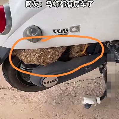 满地都是根666：隔了一阵子没骑的电动车