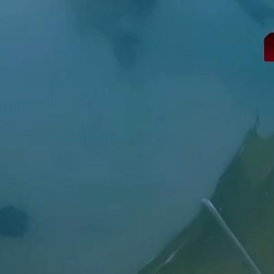 剑锋至上：卡塔尔这边披露了一段鲜为人知的