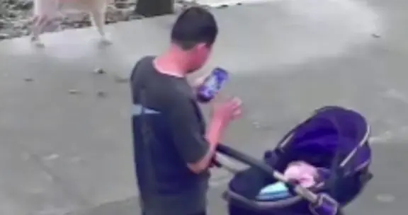 当婴儿车从手中滑落，我们是否都成了“低头父母”？