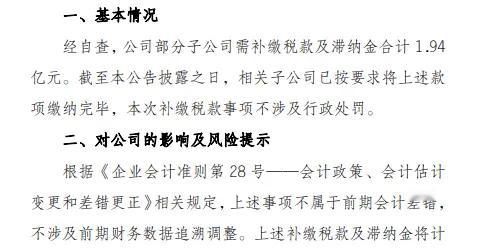 这家钢企，补缴1.94亿税款及滞纳金