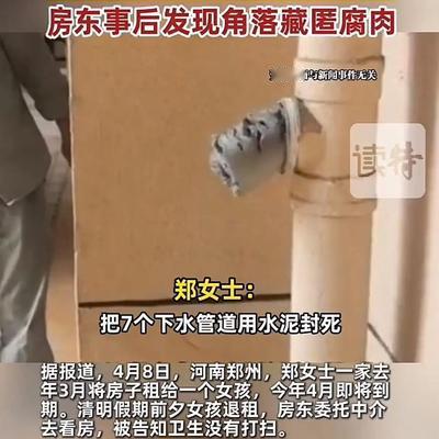 今生缘：押金风波里的“水泥复仇”：别让贪