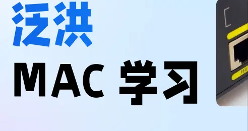 MAC 学习 与 泛洪很多人都搞不清，这篇文章解释清楚了！