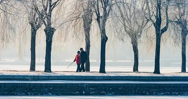 12月7日大雪，提醒中老年人：忌1事，3不去，吃3样，平安过冬
