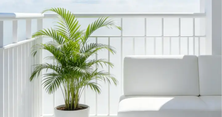 茶店老板教给我的生意经：不做比做还挣钱