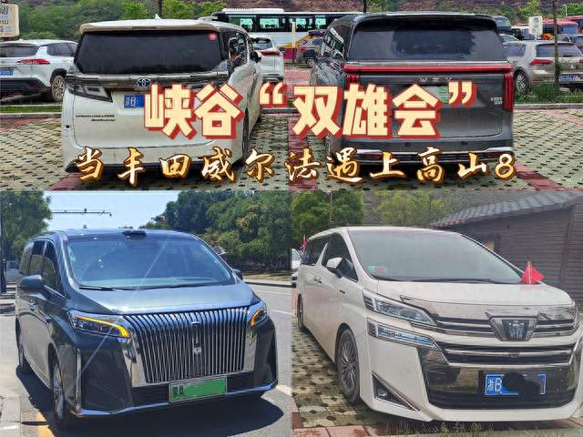 高山8这车到底行不行？甘泉碰上威尔法，那叫一个“赤诚相见”