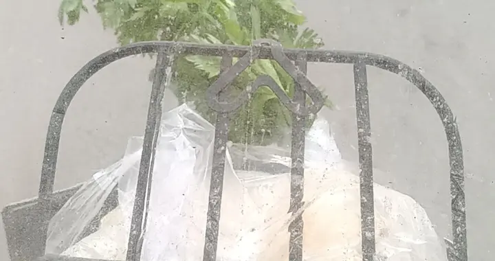 现在真的怕了“在吗”这两个字，尤其来自熟人的：十有八九是借钱