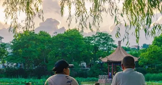 退休后，真正厉害的人会做好这10件事，看看你占几条