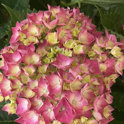 博览群书：这是我昨天