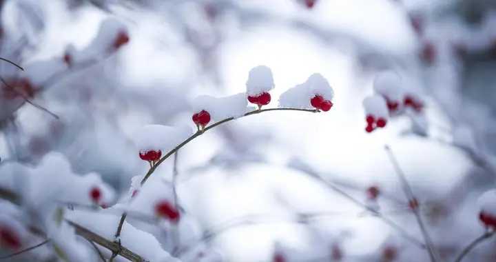 今年是十年一遇的早冬至，“早冬至，冻死牛；晚冬至，穿单衣”？