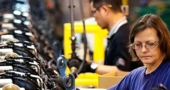 中荷谈崩后，荷兰第2波反击开始，东南亚新厂扩建中，一年后供货