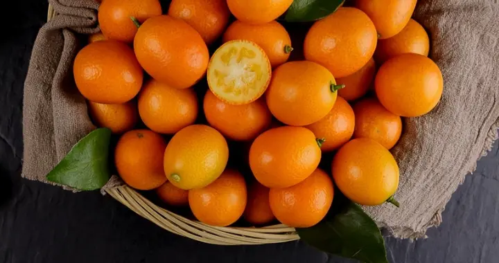 金桔立大功？研究发现：金桔或可在24小时内清除体内60%因子？