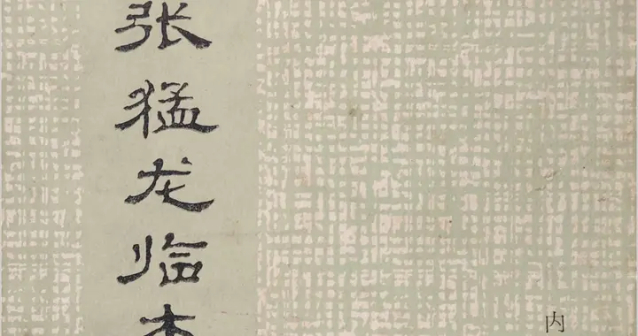 北魏·《张猛龙碑》临本，康庄书写｜字帖分享