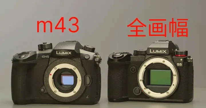 同是画幅对比，为何 M43能战全画幅，手机对标相机却遭反感？