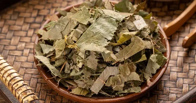 三叶煮水喝，横扫肝里痰瘀，稳住肝囊肿肝硬化20年不发展