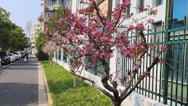 咸鱼，不想翻身：晚上睡不着啊，怎么办？