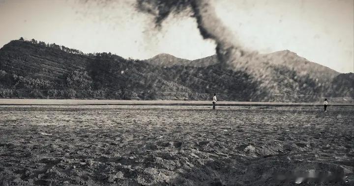 摄影密码：解锁风格与调性的神秘差异